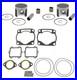1998 1999 Arctic Cat ZR 600 Top End Rebuild Kit Pistons Gaskets Bearings 78mm