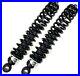2 New Rear Coil-Over Shock Absorbers Fit 1998-2005 Arctic Cat 250 300 OEM Repl