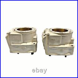 Arctic Cat 1000 Cylinders 07-11 97B0 3007-243 F1000 M1000 Re-Plated OEM 08 09 10