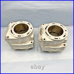 Arctic Cat 1000 Cylinders 07-11 97B0 3007-243 F1000 M1000 Re-Plated OEM 08 09 10