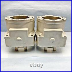 Arctic Cat 1000 Cylinders 07-11 97B0 3007-243 F1000 M1000 Re-Plated OEM 08 09 10