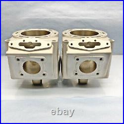 Arctic Cat 1000 Cylinders 07-11 97B0 3007-243 F1000 M1000 Re-Plated OEM 08 09 10