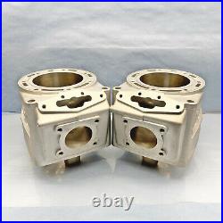 Arctic Cat 1000 Cylinders 07-11 97B0 3007-243 F1000 M1000 Re-Plated OEM 08 09 10
