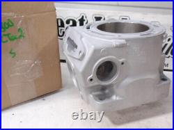 Arctic Cat 800 Ctec C-tec2 Alpha ZR8000 Snowmobile Cylinder $100 Core Refund