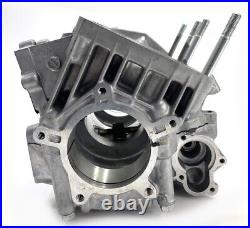 Arctic Cat, CRANKCASE ASSEMBLY 3007-620, 07-11 1000