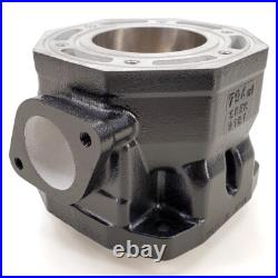 Arctic Cat CYLINDER 3004-525 95-01 ZRT 800