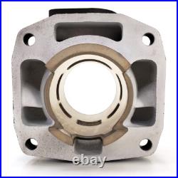 Arctic Cat CYLINDER 3004-525 95-01 ZRT 800