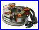 Arctic Cat Cougar 550, 1995-1998, Stator NEW 2-Up / Mountain Cat
