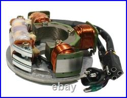Arctic Cat Cougar 550, 1995-1998, Stator NEW 2-Up / Mountain Cat