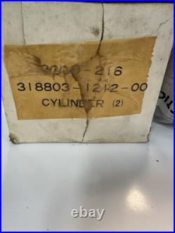 Arctic Cat Cylinder Jug NOS New Old Stock 3000-216