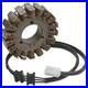Arctic Cat Sabercat 600 & 700 EFI, 2006, Stator NEW 3006-660
