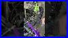 Arctic Cat Snowmobile No Clutch Puller Needed Primary Clutch Removal And Install