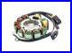 Arctic Cat ZR 580 EFI, 1995-1996, Stator 3003-907