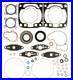 Arctic Cat ZR 6000 SPI Complete Gasket Kit Full Engine Crank Seals 2014-2023