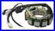 Arctic Cat ZR 600 EFI, 1998-1999, Stator NEW 3005-080 ZR600