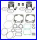 Arctic Cat ZR 800 Pistons Top End Rebuild Kit Gasket Bearings Std 2001 2002 2003