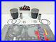 Arctic Cat ZR, Mountain Cat 900 SPI Pistons & Top End Gasket Kit