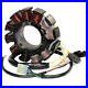 Brand New Stator for Arctic Cat 3005-699 Stator Generator Alternator Magneto
