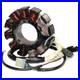 Brand New Stator for Arctic Cat ZR 600 ZR600 EFI Le 2000 2001 2002 Snowmobile