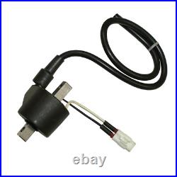 Ignition Coil for Arctic Cat M8000 M 8000 Sno Pro 2014-2017