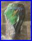 NEW 2006 Arctic cat firecat F7 700 Windshield sabercat F6 F5 2004 SNO PRO green