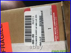 NEW Arctic Cat Genuine OEM 3006-050 CYLINDER for 2002 Mountain Cat 800