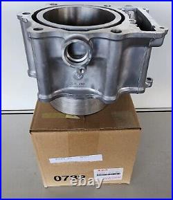 NEW SUZUKI 2005-07 KING QUAD 700 Arctic Cat Genuine CYLINDER 11211-31G10-0F0