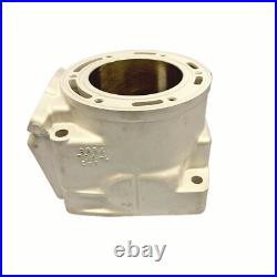 New Replated Arctic Cat 800 Cylinder 10-17 98B4 M8 F8 M8000 XF 800 8000 3007-849