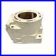 New Replated Arctic Cat 800 Cylinder 10-17 98B4 M8 F8 M8000 XF 800 8000 3007-849