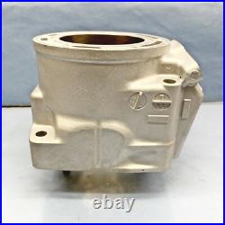 New Replated Arctic Cat 800 Cylinder 10-17 98B4 M8 F8 M8000 XF 800 8000 3007-849