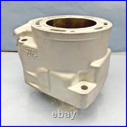 New Replated Arctic Cat 800 Cylinder 10-17 98B4 M8 F8 M8000 XF 800 8000 3007-849