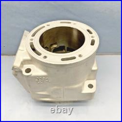 New Replated Arctic Cat 800 Cylinder 10-17 98B4 M8 F8 M8000 XF 800 8000 3007-849