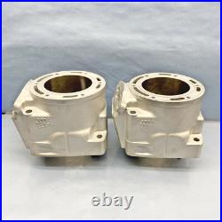New Replated Arctic Cat 800 Cylinders 10-17 98B4 M8 F8 M8000 XF800 8000 3007-849
