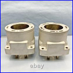 New Replated Arctic Cat 800 Cylinders 10-17 98B4 M8 F8 M8000 XF800 8000 3007-849