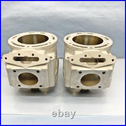 New Replated Arctic Cat 800 Cylinders 10-17 98B4 M8 F8 M8000 XF800 8000 3007-849