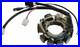 New Stator Fits Arctic Cat Zl500 Zl580 Zl600 Zr 500 Zr580 Zr600 24-001 3005-080