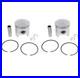 Piston Kit for Arctic Cat Wildcat 650 1991 1993 Snowmobile by Race-Driven x2