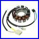 SPI 2017 XF 8000 CrossTrek ES 137 Arctic Cat STATOR ASSEMBLY SM-01360 NEW