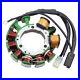 SPI Stator for Arctic Cat Snow Many 1995-2000 Carb Replaces 3005-317 & 3005-248