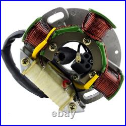 Stator For Arctic Cat Bearcat 340 440 550 1995-1999 OEM # 3005-375 3003-533