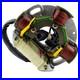 Stator For Arctic Cat Bearcat 340 440 550 1995-1999 OEM # 3005-375 3003-533