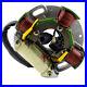 Stator For Arctic Cat El Tigre 5000 6000 EXT 530 1984-1991 3003-569 3003-567