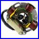 Stator For Arctic Cat Puma 340 1994 1995 1996 1997 OEM# 3003-533