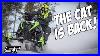The Cat Is Back A Closer Look At The Return Of Arctic Cat Snowmobiles
