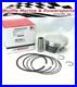 Wiseco Piston Arctic Cat 700 Mud Pro Prowler HI 08-17 HDX TBX 40080M10200 102mm